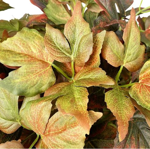 Pack of 3 - Artificial Fall Ivy Leaves Shrubs Silk Maple Creeper Plant Greenery Bushes for Autumn Decor, Indoor Outdoor Home Garden Thanksgiving Party (Ombre Green) in Saudi Arabia