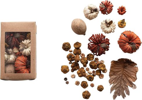 Creative Co-Op Dried Natural Organic Pumpkin Shaped Mix in Box, Multicolor in Saudi Arabia