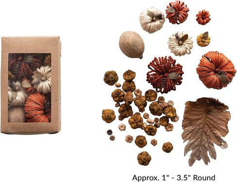 Creative Co-Op Dried Natural Organic Pumpkin Shaped Mix in Box, Multicolor in Saudi Arabia