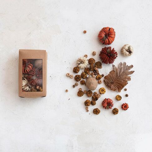 Creative Co-Op Dried Natural Organic Pumpkin Shaped Mix in Box, Multicolor in Saudi Arabia