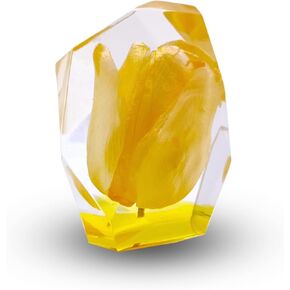 Eternal Flower Natural Tulip Preserved | Resin Crafts | Flower Preserved in Resin | Real Yellow Tulip | Resin Art Figurines (Yellow)
