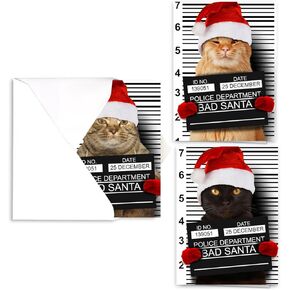 Christmas Cats Holiday Card Assortment Pack / 25 Seasonal Kitten Greeting Cards And Envelopes / 5 Sleeping Santa Animal Designs And Christmas Messages