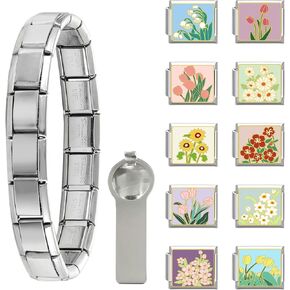 papasgix Italian Charm Bracelet Gold Silver Set with Starter Brascelet, Assorted Charms and Opening Tools, 9mm Modular Italian Charm Bracelet Links Handmade DIY Jewelry Gifts(Silver Blue)