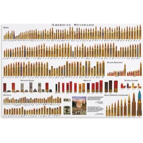 American Bullet Chart Poster Bullet Type Chart Canvas Painting Educational Chart Wall Art Print Canvas Painting Wall Art Poster Poster for Room Aesthetic Posters & Prints on Canvas Wall Art Poster for