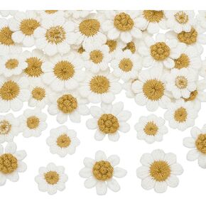 FINGERINSPIRE 80 Pcs Crochet Knitting Daisy Flower Patches 3 Size White Daisy Floral Sew On Applique Tiny Size Handmade Crochet Flowers Patches for DIY Bags Hats Jeans Jackets Clothing Accessories