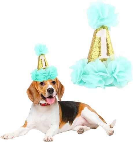Stock Show 1st Pet Birthday Cone Hat Dogs Cats Holiday Party Hat Headwear Costume with Flowers Accessories and Adjustable Headband for Small Medium Dogs Cats Pets (Pink in Kuwait