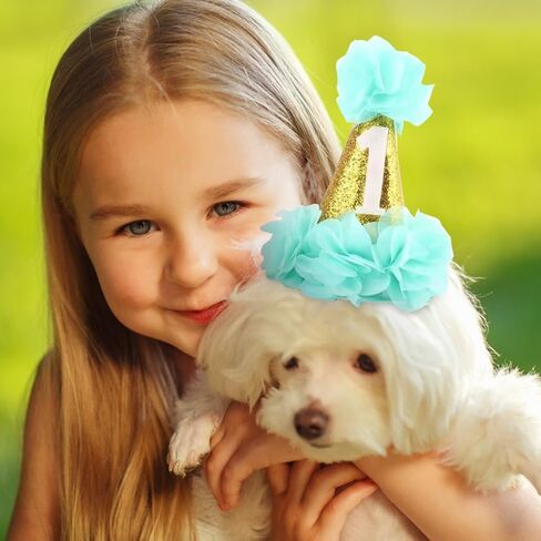Stock Show 1st Pet Birthday Cone Hat Dogs Cats Holiday Party Hat Headwear Costume with Flowers Accessories and Adjustable Headband for Small Medium Dogs Cats Pets (Pink in Kuwait