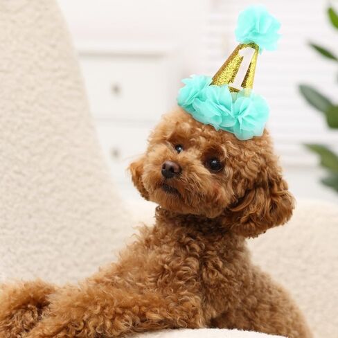 Stock Show 1st Pet Birthday Cone Hat Dogs Cats Holiday Party Hat Headwear Costume with Flowers Accessories and Adjustable Headband for Small Medium Dogs Cats Pets (Pink in Kuwait