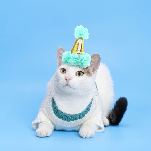 Stock Show 1st Pet Birthday Cone Hat Dogs Cats Holiday Party Hat Headwear Costume with Flowers Accessories and Adjustable Headband for Small Medium Dogs Cats Pets (Pink in Kuwait