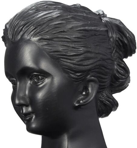 حامل عرض المجوهرات من SOUJOY، حامل حلق تمثال عرض، رأس قلادة من الراتنج الأسود، منظم حامل عرض البوتيك لعرض المجوهرات والقلادة والأقراط in Kuwait