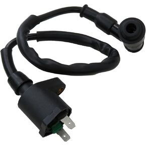 Ignition Coil For Kawasaki KLX 110 2002 2003 2004 2005 2006 2007 2008 2009 2010 2011