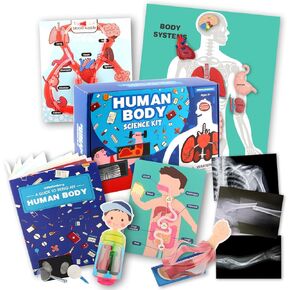 Human Body Activities & Experiments Science Kit for Kids,Human Anatomy Body Parts with Broken Bones X Ray,Lung Breathing Model, Vessels, Digestive System,Muscles Model,Skeleton,Human Organ STEM 5+