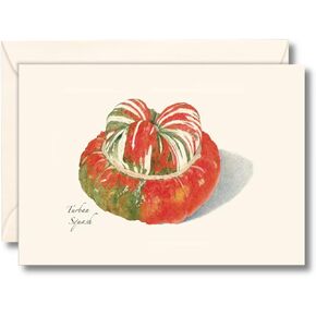 Earth Sky + Water - Turban Squash Notecard Set - 8 Blank Cards with Envelopes