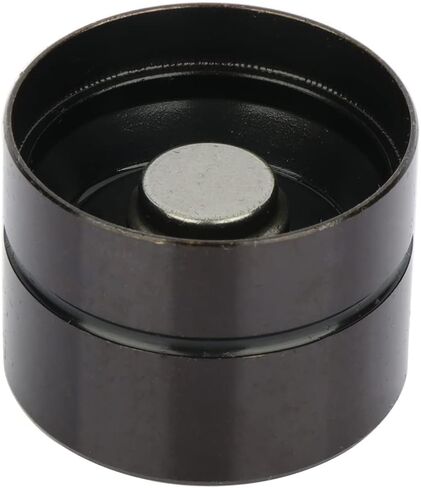 SCITOO Engine Hydraulic Tappet Adjuster Tappet Lifter Fit for 1989-2005 for VW for Jetta 1998-2005 for VW for Beetle in Kuwait