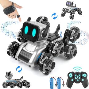 Robot Dog, 2.4Ghz Remote Control Dog Stunt RC Cars with Music & Light, 2 Models RC Robot Dog with 2 Rechargeable Batteries, Birthday for Kids 6 7 8 9 10 11 12 Years Old