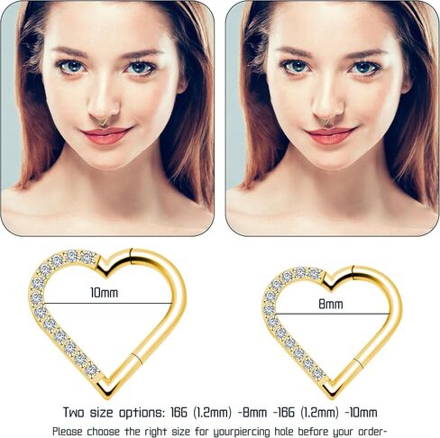 Titanium Septum Rings, Nose Rings Hoops for Women, Segment Nose Rings 16G 8mm/10mm Hypoallergenic Cartilage Conch Helix Rook Hoop Earrings in Saudi Arabia