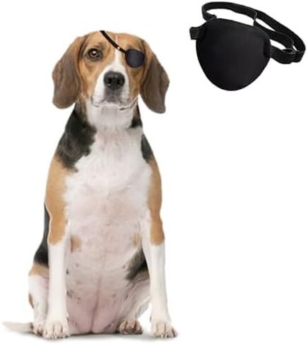 MANON ROSA Dog Eye Patch, Small in Kuwait
