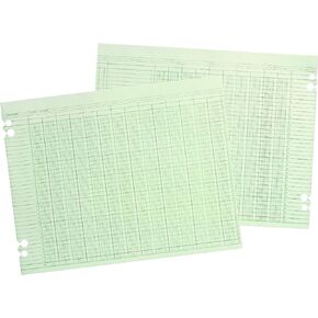 Wilson Jones WLJG3024 Green Columnar Ruled Ledger Paper, Double Page Format, 24 Columns and 36 Lines per Page, 11 x 14 Inches, 100 Sheets per Pack (WG30-24A)