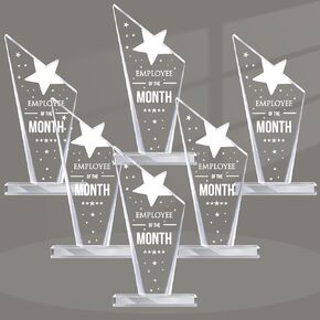 Employee of The Month Plaque Appreciation Gifts for Coworkers Acrylic Plaque Award Keepsake Reward for Employee Colleague Volunteer Office (Stylish,6 Pcs)