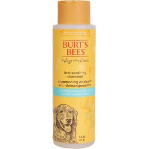 Burt's Bees for Pets Itch Soothing Shampoo with Honeysuckle | Anti-Itch Dog Shampoo for All Dogs with Sensitive Skin | Cruelty Free, Sulfate & Paraben Free, pH Balanced for Dogs, 16 Oz - 6 Pack