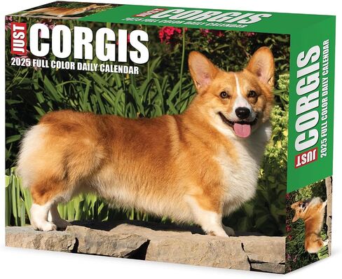 Willow Creek Press Corgis Daily 2025 Box/Desk Calendar (5.86" x 4.72") in Saudi Arabia