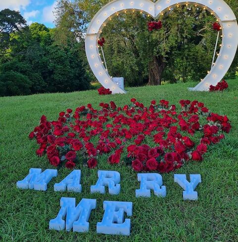 JUICYRAUL 7 مصابيح LED بحروف سرادق Marry Me Sign، Marry Me LED أضواء حروف Marquee، أرقام حروف Marry Me المضيئة لاقتراح رومانسي، علامة زفاف، علامة خطوبة in Saudi Arabia