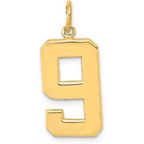 Roy Rose Jewelry 14K Yellow Gold Large Polished Number 9 Charm Pendant