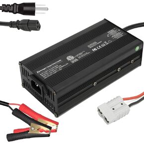 Xietongpo 24V 20A LiFePO4 Smart Charger for Deep Cycle Lithium Iron Phosphate Batteries, 29.2V 20A LiFePO4 Battery Charger with Anderson and Alligator Clips for Batteries of Car Trucks RV