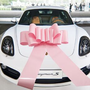 1Pcs Giant Car Bow,21 Inch Giant Gift Bow for Large Gift Decoration,Giant Presents,Lady Surprise Party,Wedding Reception,Birthday,Christmas Bows for Car,Gift Bow (pink)