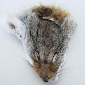 IIV Treasure Gurus Authentic Large Coyote Head Pelt