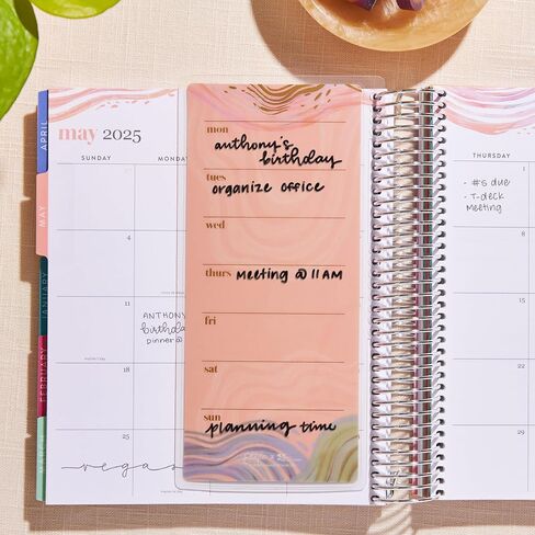 Erin Condren Universal Snap-In To-Do List Dashboard - Evolve | عملية وقابلة لإعادة الاستخدام + تعمل مع أقلام التحديد المبللة. تتبع الإنتاجية in Saudi Arabia