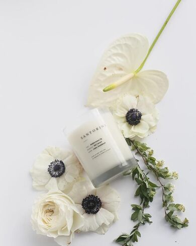 Brooklyn Candle Studio Maui Escapist Candle | Luxury Scented Candle, Vegan Soy Wax, Hand Poured in The USA | 70 Hour Slow Burn Time | 13 oz in Saudi Arabia