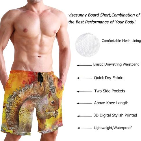 visesunny Modern Colorful Oil Painting Squirrel Men's Swim Trunks Quick Dry Bathing Suits Beach Holiday Party Swim Shorts in Kuwait