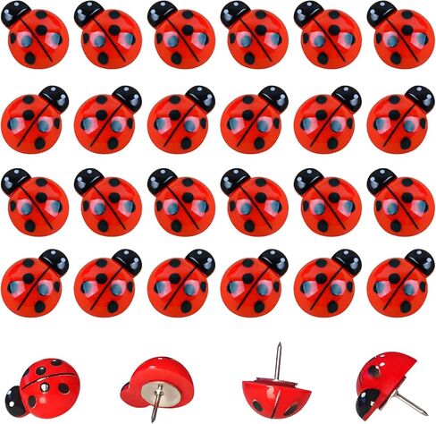 دبوس دفع لطيف على شكل خنفساء، 30 قطعة من دبابيس رسم الحشرات، لوحة الفلين الجدارية، لوحة زخرفية، خريطة ثابتة، ورق ملاحظات، صورة، بطاقة بريدية، لوازم مكتبية، طبعة in Kuwait