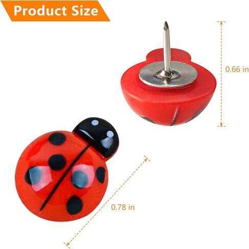 دبوس دفع لطيف على شكل خنفساء، 30 قطعة من دبابيس رسم الحشرات، لوحة الفلين الجدارية، لوحة زخرفية، خريطة ثابتة، ورق ملاحظات، صورة، بطاقة بريدية، لوازم مكتبية، طبعة in Kuwait