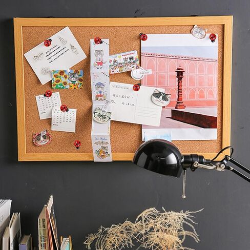 دبوس دفع لطيف على شكل خنفساء، 30 قطعة من دبابيس رسم الحشرات، لوحة الفلين الجدارية، لوحة زخرفية، خريطة ثابتة، ورق ملاحظات، صورة، بطاقة بريدية، لوازم مكتبية، طبعة in Kuwait