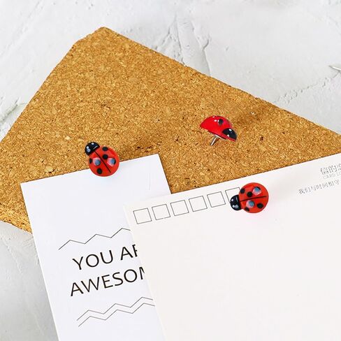 دبوس دفع لطيف على شكل خنفساء، 30 قطعة من دبابيس رسم الحشرات، لوحة الفلين الجدارية، لوحة زخرفية، خريطة ثابتة، ورق ملاحظات، صورة، بطاقة بريدية، لوازم مكتبية، طبعة in Kuwait