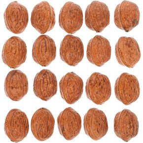 FOMIYES 20Pcs Artificial Walnut Simulation Walnut Models Market Food Model Photo Prop Dining Table Decorations for Home Shop