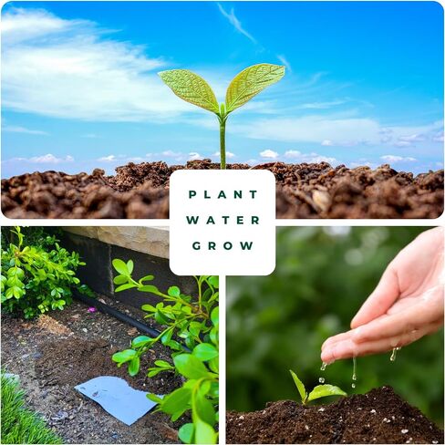 GiardiNotes - مجموعة من 5 بطاقات بذور أنيقة قابلة للزراعة مع بذور الخضروات والأعشاب في ظرف من القنب، ورق حرفي صديق للبيئة للهدايا وحفلات الزفاف والاحتفالات in Saudi Arabia