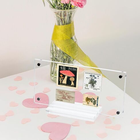 Dollar Bill Frame Holder Acrylic Dollar Bill Display Case Bill Holder for Collectors, Clear Paper Money Holders Money Ticket Protector, Currency Frame Display Case Transparent Photo Protector in Saudi Arabia