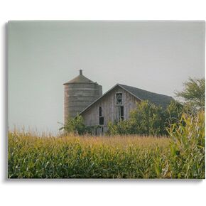 Stupell Industries Soothing Countryside Barn Clear Sky Rural Grass Floating Framed Wall Art, Design by Daphne Polselli