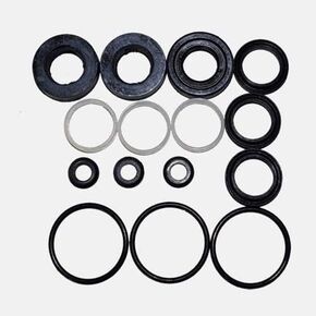 Seal Kit Compatible Spring fit Cat Pump