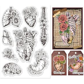 INFUNLY Human Body Flowers Silicone Clear Stamp for Card Making Spine Brain Rubber Stamps Heart Lungs Transparent Stamps Organ Flowers Clear Stamp for Card Making Craft Scrapbooking Decor 7.8x4.3Inch