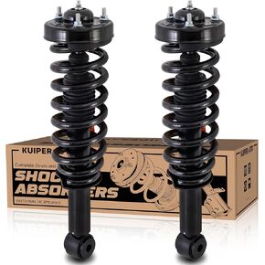 Front Pair Complete Struts Assembly Compatible with 2007-2013 Ford Expedition Lincoln Navigator 171138 Coil Spring Assembly Shock Absorber