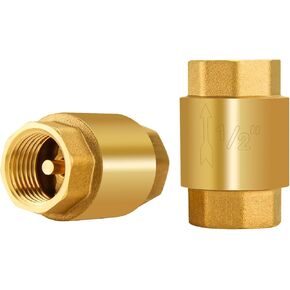 Jingzan 2PACK 3/4 NPT Thread Spring Check Valve, Solid Brass Non Return One Way Horizontal Check Valve, Backflow Prevention Vertical Inline Water Check Valve for Well, Pump, Tank (2 PACK 3/4 NPT)