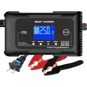 25Amp Lithium Battery Charger 12V/24V Lifepo4, Lead Acid (AGM/Gel/SLA..) Portable Car Battery Charger, High Power Fast Charge, Battery Maintainer, Trickle Charger for Car, Boat, Motorcycle