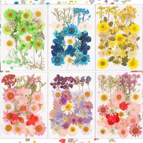 202 Pcs Dried Pressed Flowers for Resin Molds, Real Dried Pressed Flower Set for Crafts, Real Nature Pressing Floral Leaves for DIY Craft Mold Jewelry Making Scrapbook Supplies