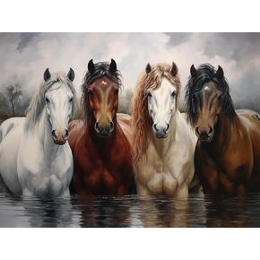 SKRYUIE Paint by Numbers Kit for Adults Beginner Horse, Acrylic Oil Painting by Numbers Kits with PaintBrushes Art Crafts Canvas for Home Decor 16x20 inch / 40x50 cm B23493