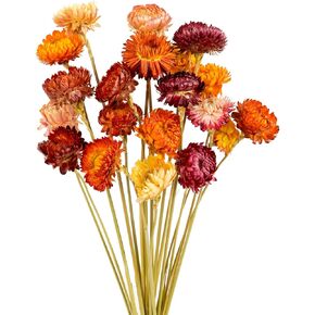 100% 17.5 inches 20pcs Natural Dried Straw Flower Bouquet, Dried Sunflowers Multicolor Daisies for Wedding, Farmhouse Table Vase Decor, Home Office Party DecorationSunflowers