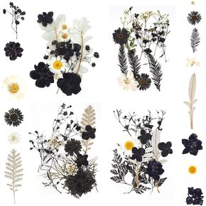 زهور سوداء مجففة مضغوطة، زهور مجففة للهالوين لقوالب الراتنج، زهور طبيعية حقيقية تترك للحرف اليدوية، صناعة الصابون، ديكور الأظافر، الشمعة، مجوهرات الإيبوكسي in Kuwait